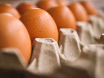 Faut-il laver les œufs avant de les utiliser ?